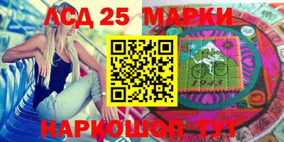 гашик Донской