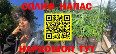 гашик Донской