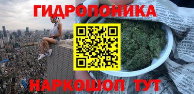 гашик Донской