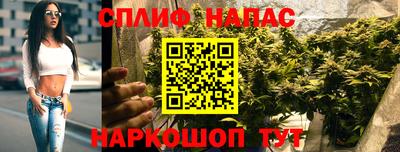a pvp Дубна