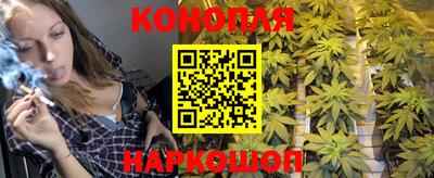 гашик Донской